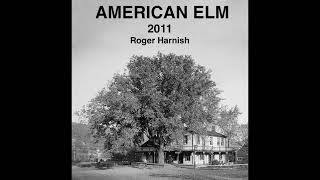 American Elm [upl. by Nahpos418]