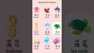 Marine life in Chinesechineselanguage mandarin 中文 speakchinese 学习汉语 learningchinese [upl. by Thorpe]