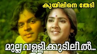 Mullavallikkudilil  Super Hit Malayalam Movie  Kuyiline Thedi  Movie Song [upl. by Renrew]