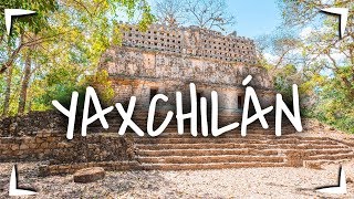 YAXCHILÁN en CHIAPAS 🔴Cómo llegar cuánto cuesta qué hay ► CIUDAD MAYA EN LA SELVA [upl. by Iover]