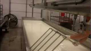 Making Watonga Cheese [upl. by Ahsitan]