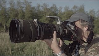 Stevens Achtertuin de Oostvaardersplassen [upl. by Nasia]