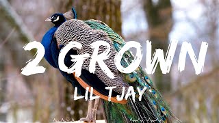 Lil Tjay  2 Grown Lyrics Feat The Kid LAROI  Andra Music [upl. by Eelinnej921]