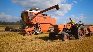 Chantier XL Moisson orge de Printemps FiatSomeca M120 amp M182 IN FRANCE [upl. by Jaymee536]