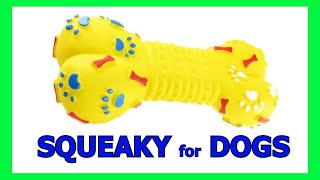 Dog Squeaky Toy  Sounds that attract dogs prankyourdog squeaky [upl. by Jasik]