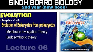 evolution of eukaryotes from prokaryotes  class 12 Sindh board biology sindhboard mdcat [upl. by Adala]