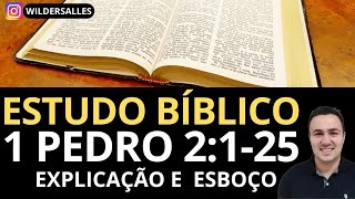 ESTUDO BÍBLICO 1 PEDRO 2125  EXPLICAÇÃO E ESBOÇO [upl. by Dnalyag]