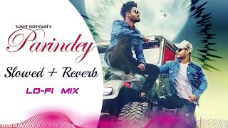 SUMIT GOSWAMI  Parindey lofi mix Slowed amp Reverb  New Haryanvi Songs Haryanavi 2023  Lofi Songs [upl. by Nnahsal]