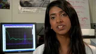 Pancreatic Cancer and Photodynamic Therapy  Undergraduate Research at the College of Charleston [upl. by Eedyaj]