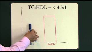 Heart disease 5 Cholesterol [upl. by Yetah]