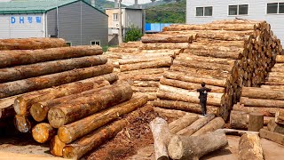 Wooden Furniture Mass Production Factory Wood Couch Manufacturing Process [upl. by Eniawd]