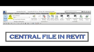 Central file and worksets local copy in revit [upl. by Ojybbob]