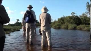 Naturetrek Tour to the Congo by Malcolm Peaker [upl. by Schiffman677]