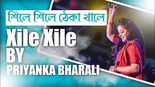 xile xile theka khale by priyanka Bharali Assamese lyrice video [upl. by Yesteb]