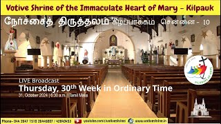 Votive Shrine Daily Mass  Live Stream  October 31 2024 Thursday 630 am  Tamil Mass [upl. by Natloz]