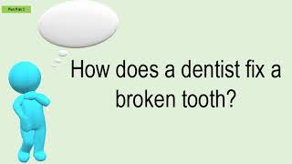 How Does A Dentist Fix A Broken Tooth [upl. by Manvel]