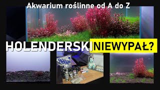 Akwarium Roślinne od A do Z  ala Holenderskie [upl. by Sabino970]