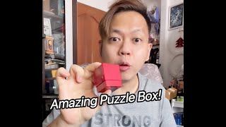 Tenyo Magic  T161  Parabox  quotAmazing Puzzle Box 📦quot [upl. by Bryon]