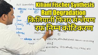 BSc 2nd sem  Kiliani Fischer Synthesis  Ruff Degradation  Arabinose to Glucose  BSc 3rd year [upl. by Aehsal]