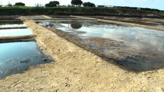 Les marais salants  Port des Salines île dOléron [upl. by Adnole]