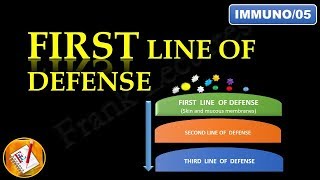 INNATE IMMUNITY  First Line of Defense FLImmuno05 [upl. by Yrogerg]