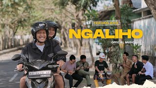 TEKOMLAKU feat Ervinsof  Ngaliho Official Music Video [upl. by Sutherland]