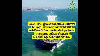 Job Opportunity at Synergy Maritime synergymaritime gprating ccmc coachingclassjobvacancy [upl. by Papotto]