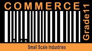 Commerce Grade 11  Tips on Value Based Ques  Small Scale Industries  Social Objectives  Part 57 [upl. by Tedder]