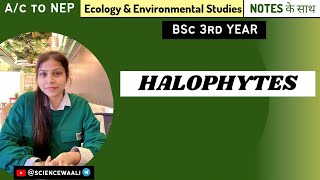 HalophytesHalophytic Plants Plant AdaptationClass 1112BscNeetsciencewaali [upl. by Nirb397]