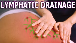 Lymphatic Drainage Benefits  The Importance Of Lymphatic System Health [upl. by Gosney]