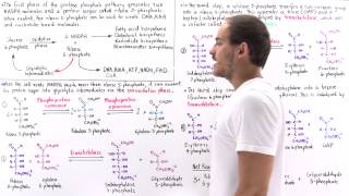 Nonoxidative Phase of Pentose Phosphate Pathway [upl. by Catlin530]