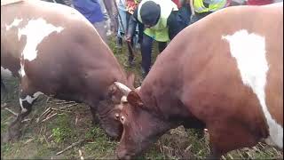 Martial redwhite vs Simba  west Kenya Dominic 🎥 [upl. by Zechariah]