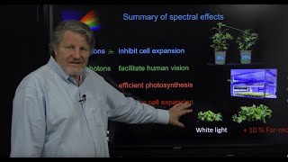 Toward an Optimal Spectral Quality for Plant Growth and Development [upl. by Sillig]