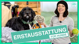 WICHTIGE Erstausstattung für Hunde 11 Must Have Dinge für dein Hundezubehör [upl. by Reger]