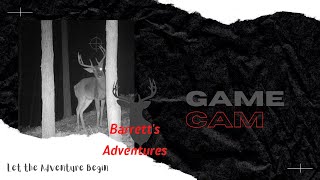 Game Camera  Wildgame Innovations Trail Camera [upl. by Aiekram]