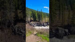 relaxing Castle Falls Alberta [upl. by Yelrac]