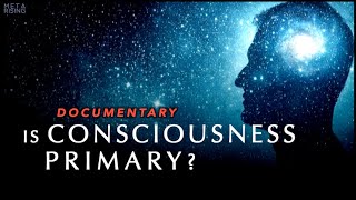 Is Consciousness Primary to Reality Documentary [upl. by Eive60]