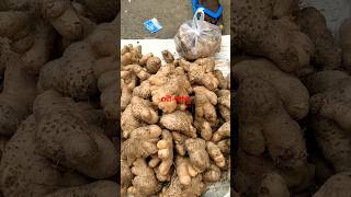 Potato🍠 essential for Chhath माईया Puja 🌺Fatok Bazar🌻 Silchar💐Shiv baba 🙏Please subscribe 🍇like [upl. by Ginsberg]