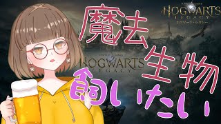 【ホグワーツレガシー】ついにヒッポグリフで爆走大空を飛びまわれぇぇぇ！（ストーリー進めるよ） [upl. by Ailelc]