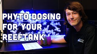 Supercharge Your Home Aquarium The Power of Phytoplankton Dosing [upl. by Dolan]