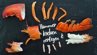 Hummer kochen amp zerlegen  So geht das Gourmondo Food Studio [upl. by Huff864]