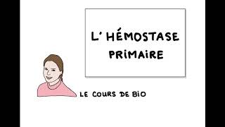 Hémostase primaire [upl. by Ahcarb]