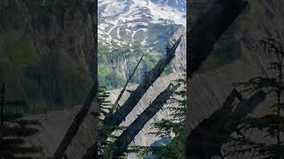 Amazing Mt Rainier National Park Washington Site seeing day Shorts [upl. by Thirion]