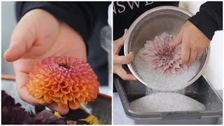 Drying Flowers with Silica GelCrystals  A Fun Way to Display Them 💗🥰🌼  Garden Answer [upl. by Zeph]