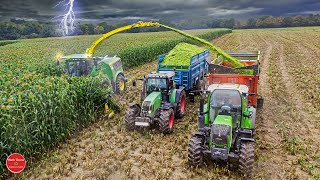 ENSILAGE DE SORGHO  2300 chevaux réunis [upl. by Gaiser]