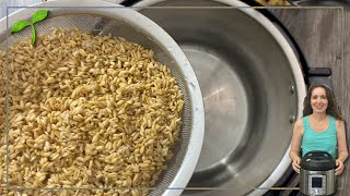 How to Cook Oat Groats in Instant Pot in 25 minutes So Easy [upl. by Bara]