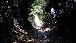 Hiking in Amorgos Island on our way to the Byzantine Monastery of Agios Ioannis Theologos [upl. by Nylrehs312]