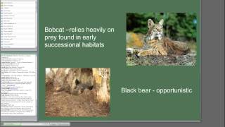 Managing early successional wildlife habitat [upl. by Jacoby172]