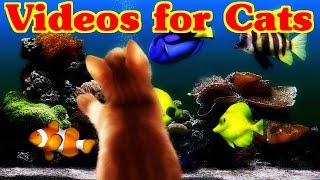 Videos for Cats to Watch  FISH video for Cats [upl. by Ula]