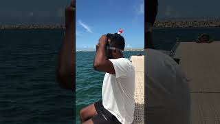 Life on the sailboat 🖤⚓️ catamaran sailing deepsea travel highlights yacht sea virlvideo [upl. by Sukul]